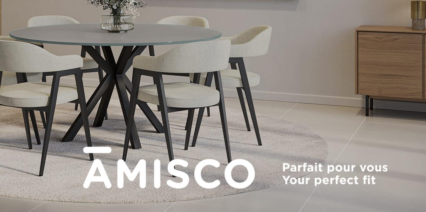 amisco landing page header