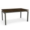 ZOOM TABLE BASE WITH DISTRESSED SOLID BIRCH TOP